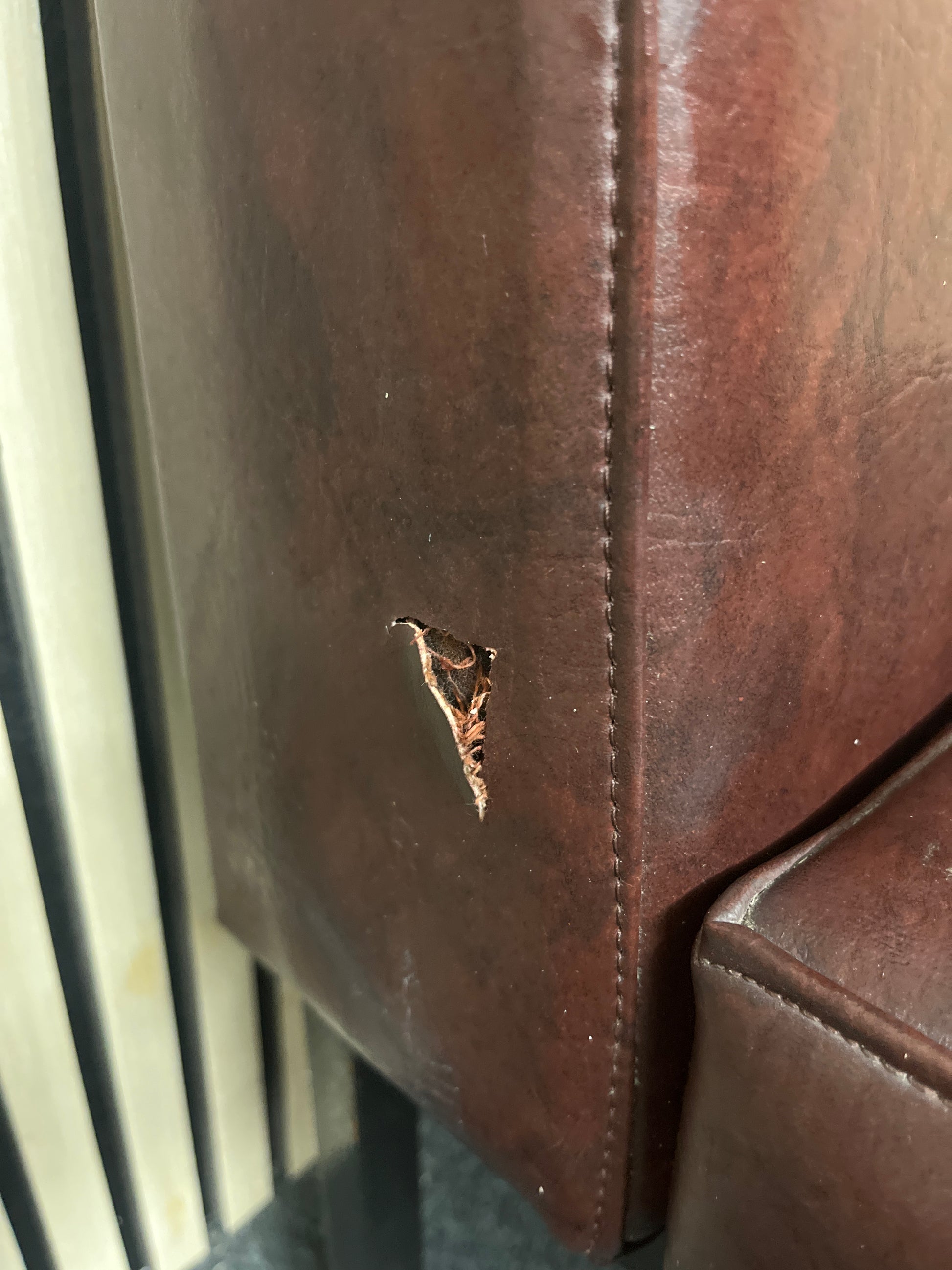 Wine leather low lounge chair with black metal frame 2425