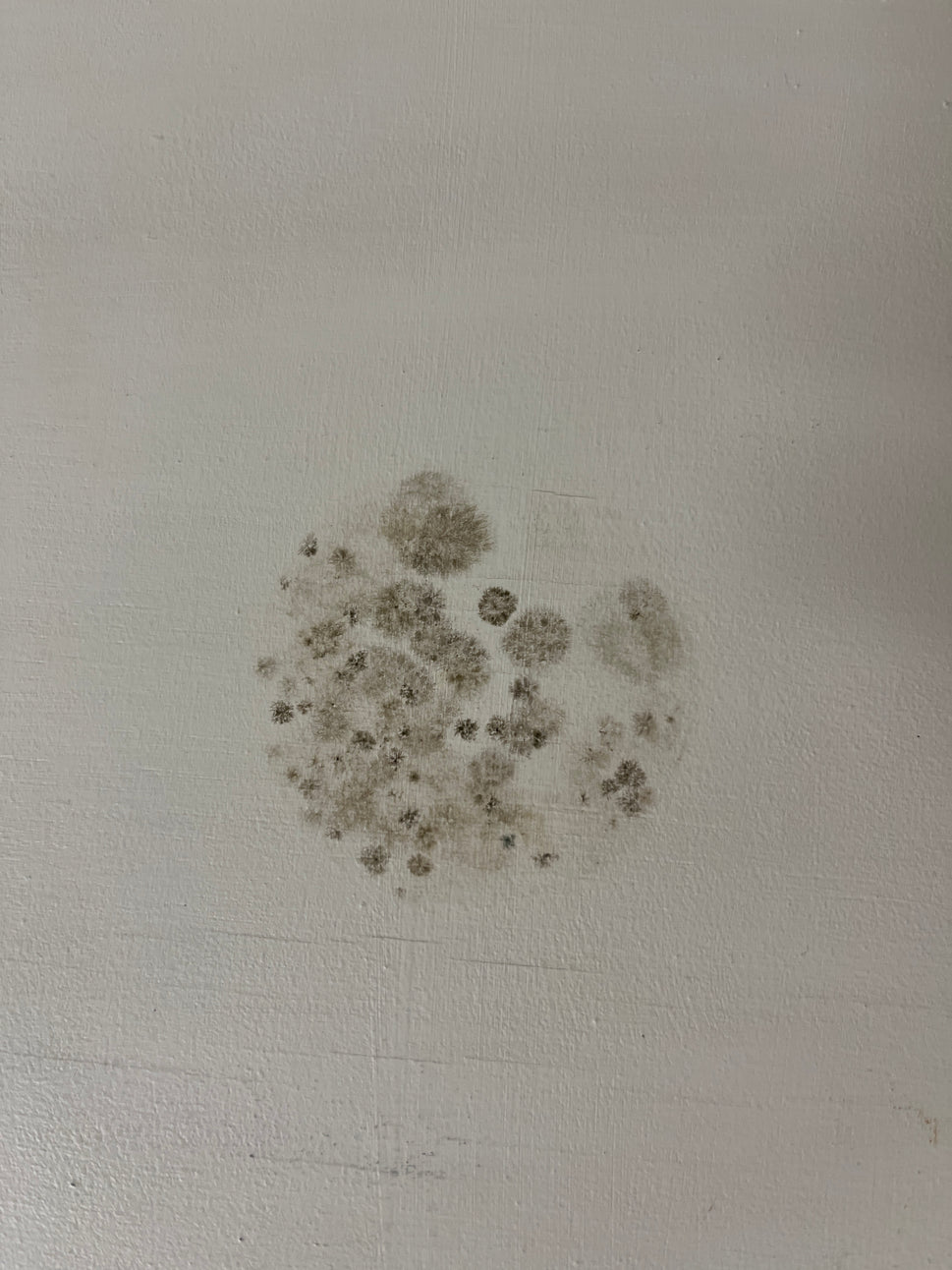 Low solid wood white painted coffee table 3325