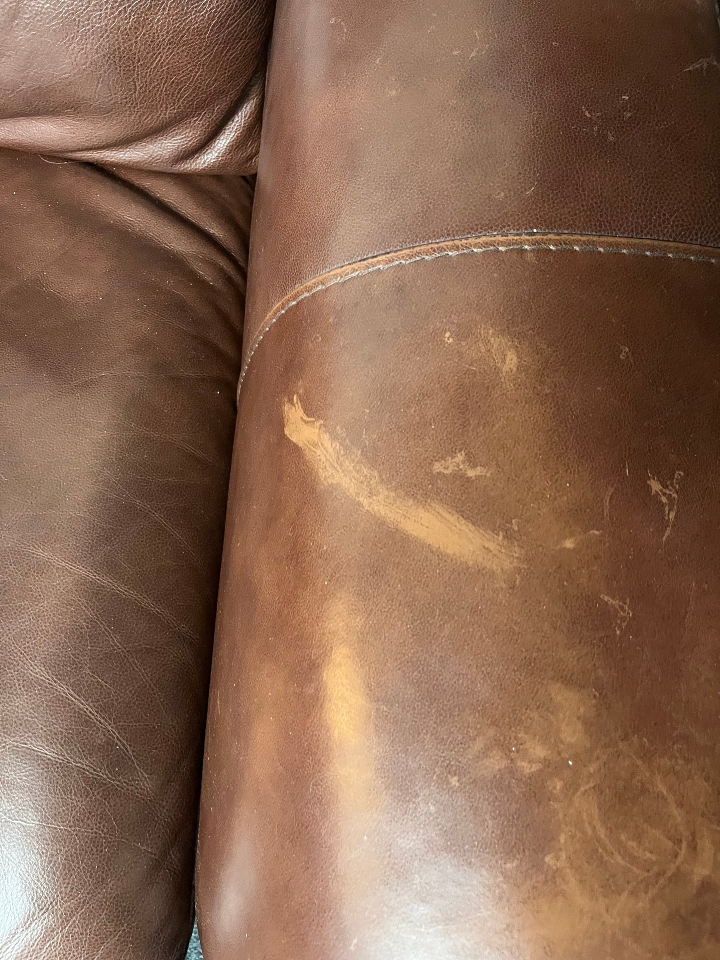 3 seater Italsofa dark brown leather sofa 2225