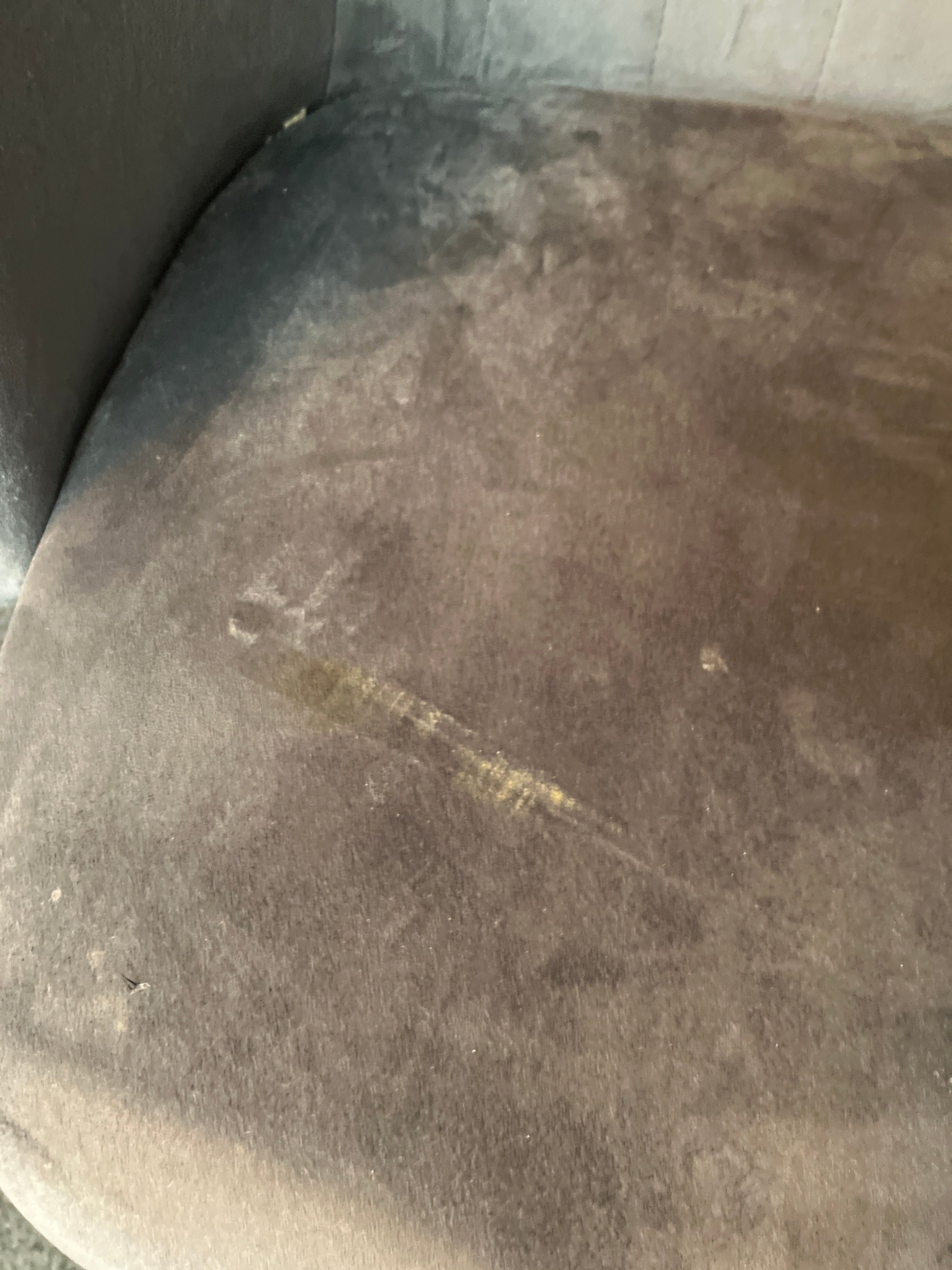 Grey velour fabric club chair 2225