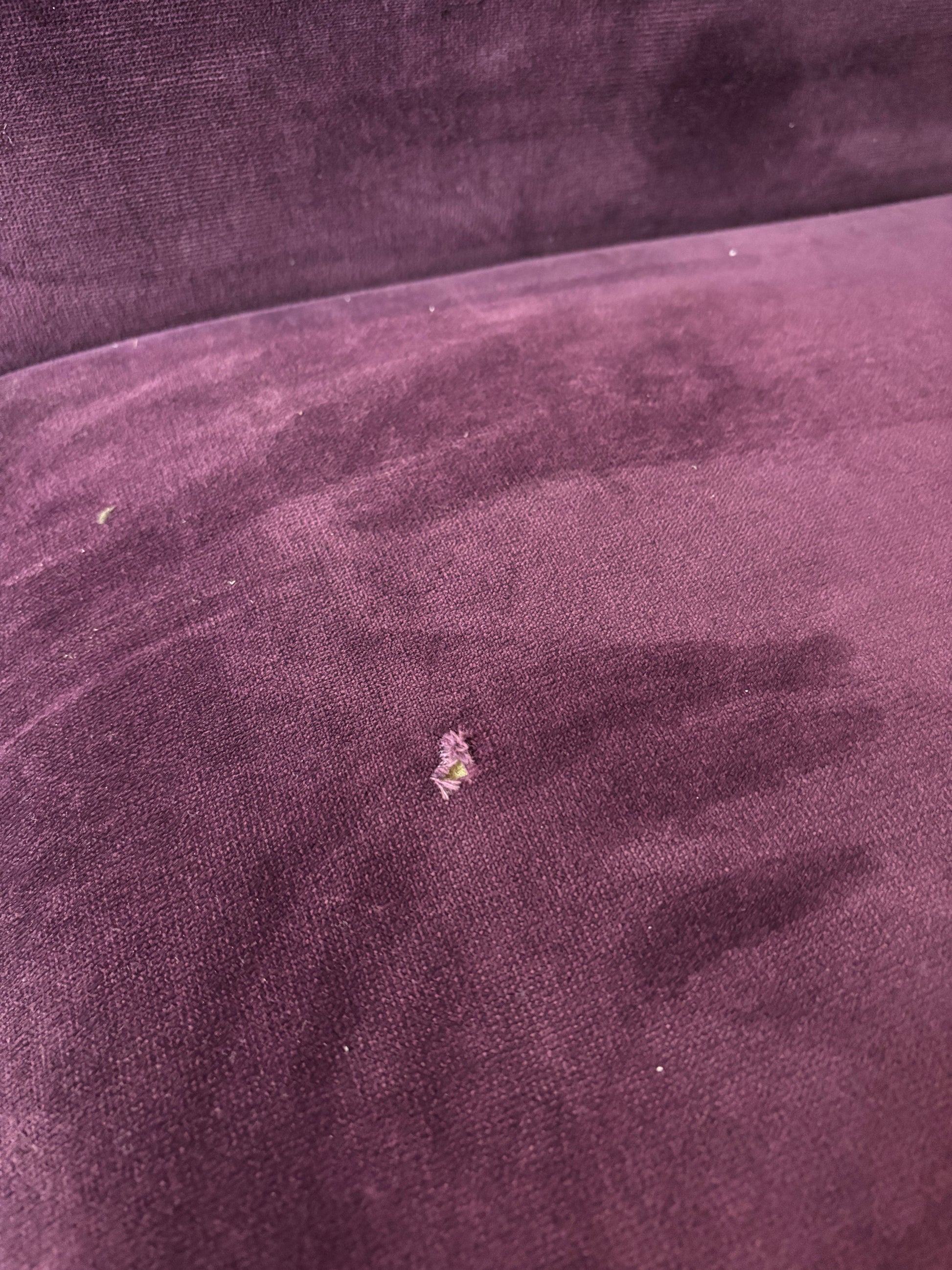 Low purple velvet fabric occasional chair  1325