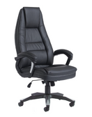Switch NEW Noble High back managers swivel chair with fixed arms, 5 star base, height adjustable with fixed arms 3 image